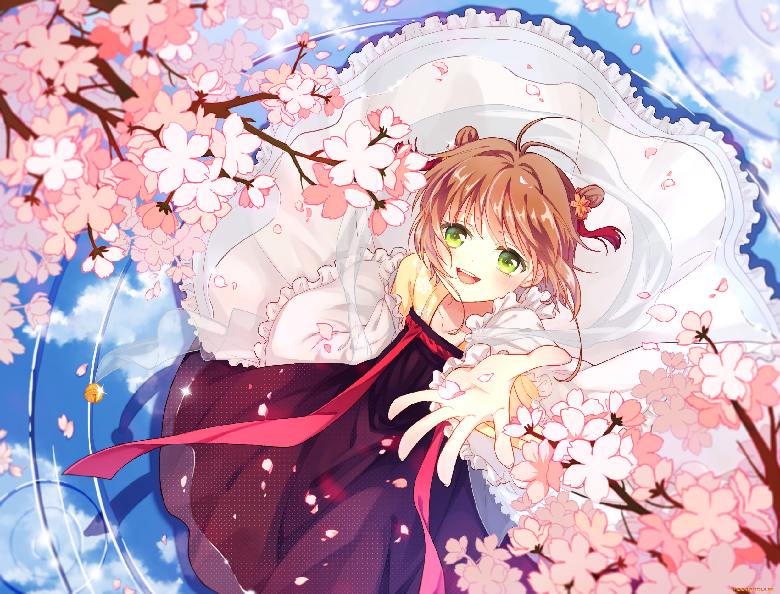 , card captor sakura, 